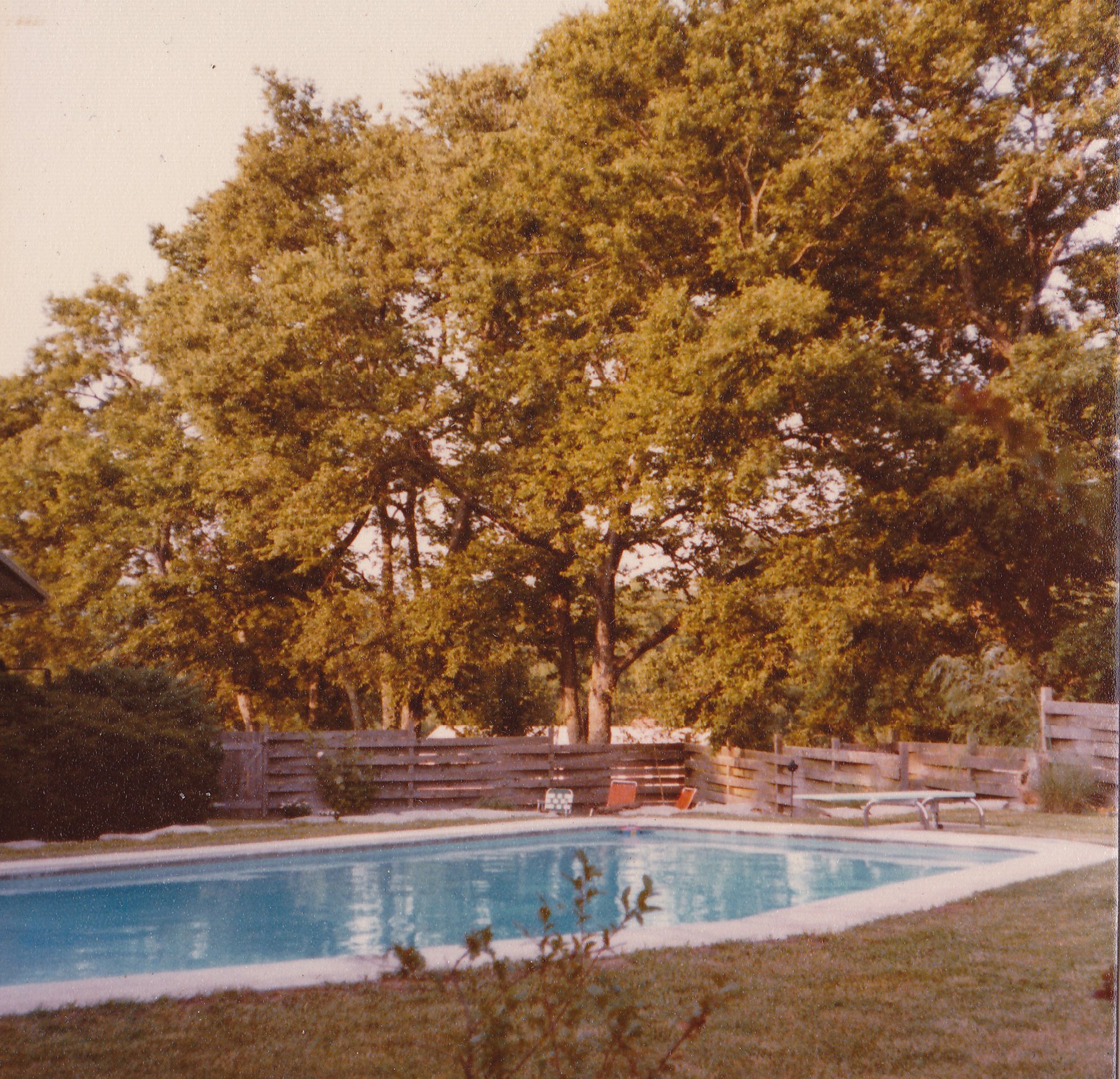 photo: pool