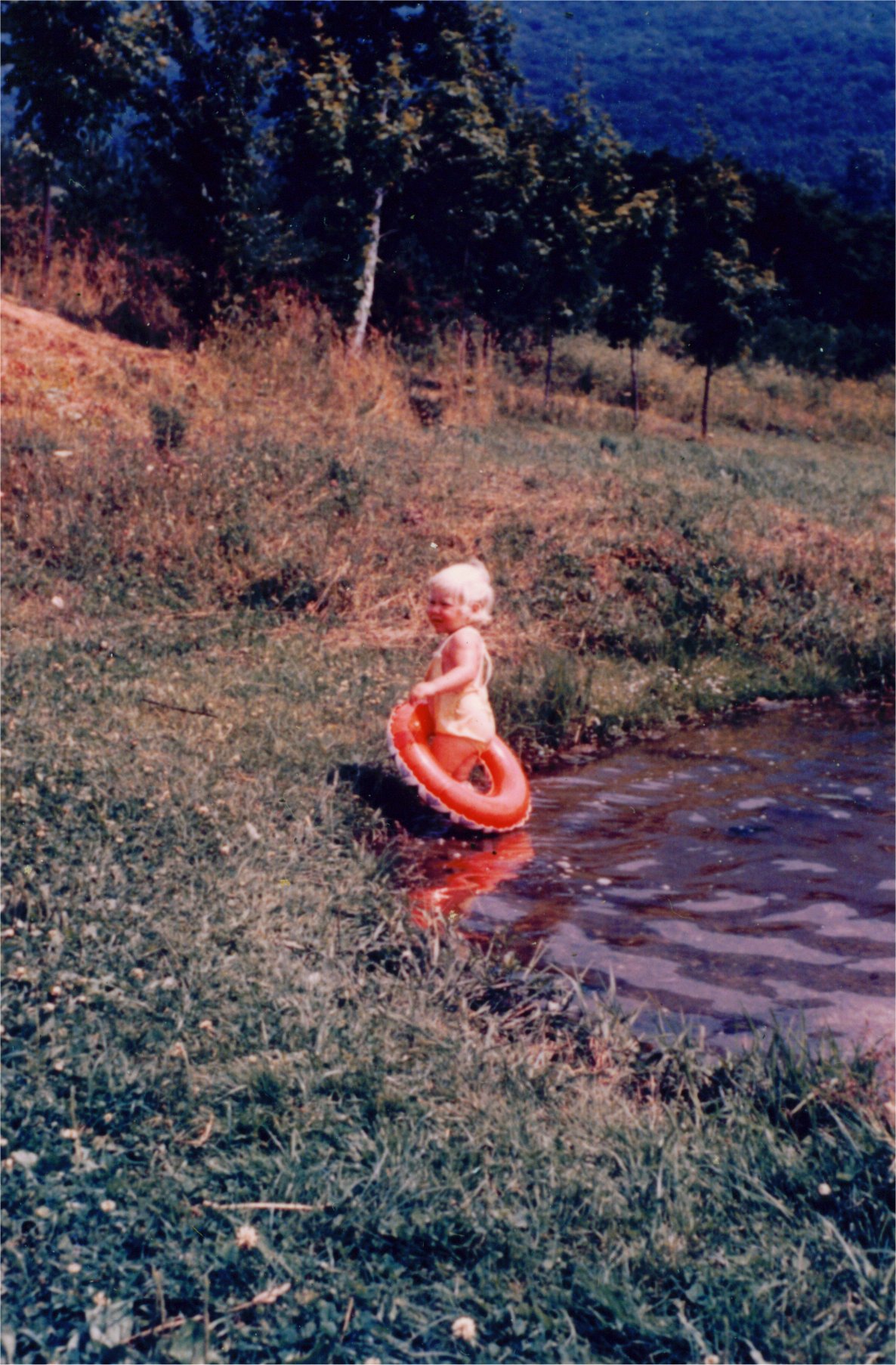 photo: Robin Swimming 1960